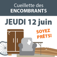 ICONE_Encombrants