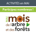 ICONE_MoisDeArbre